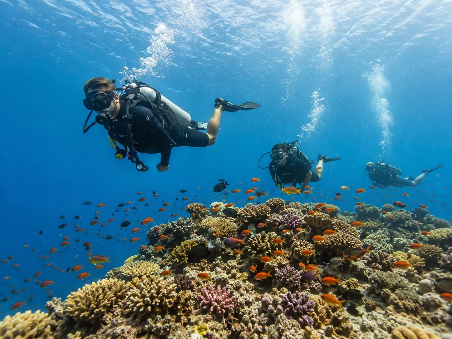 Divers on a Red Sea boat day