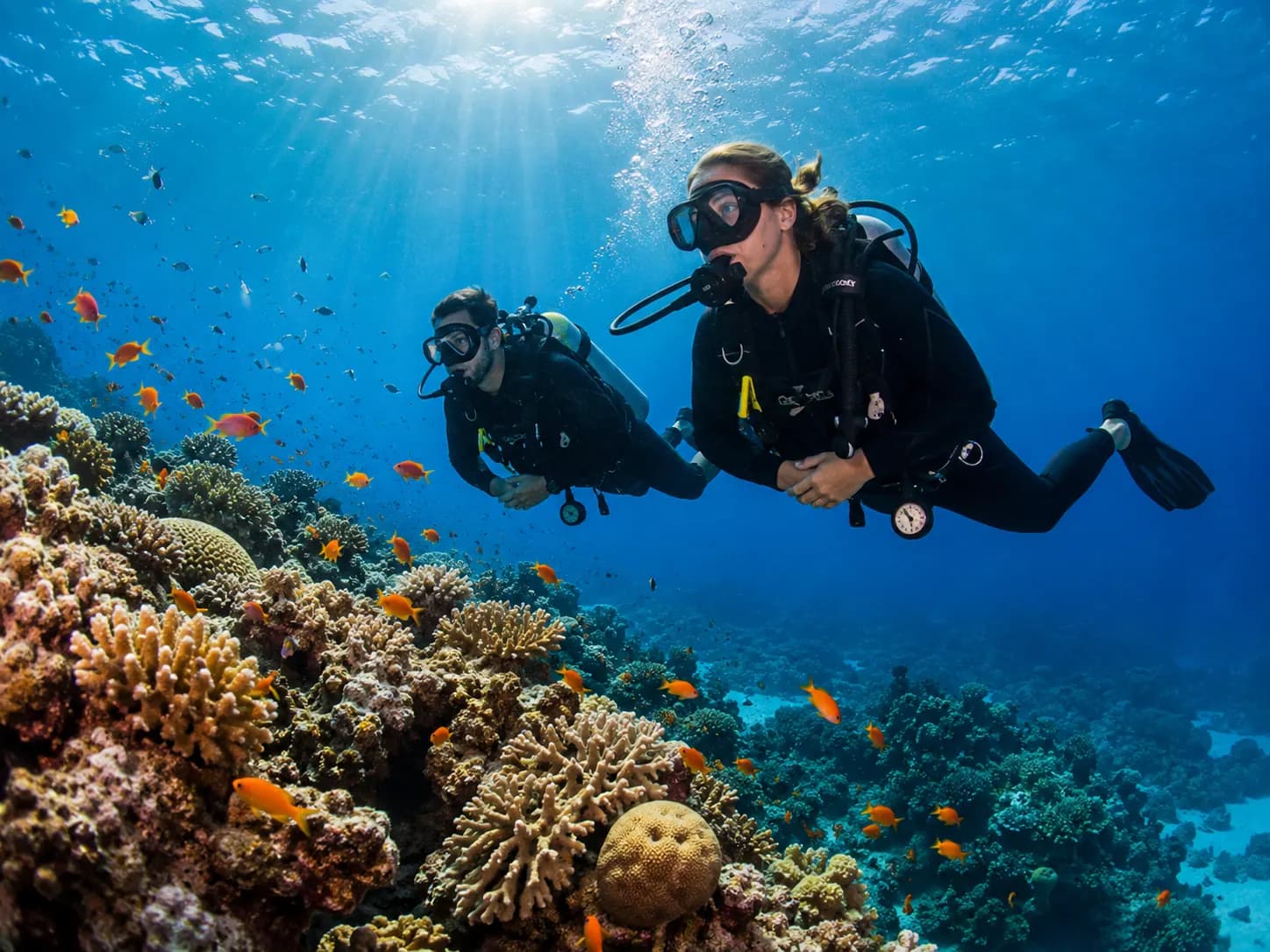 Advanced diver navigating a Red Sea reef wall