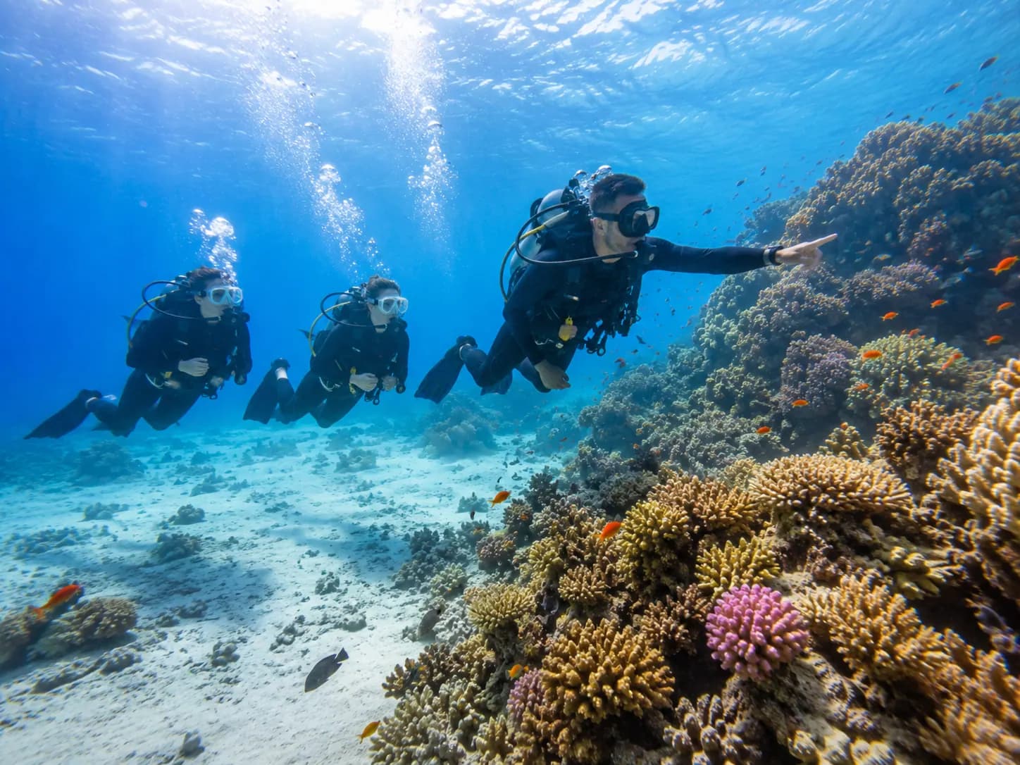 Diver entering the water for a shore dive at a Red Sea house reef